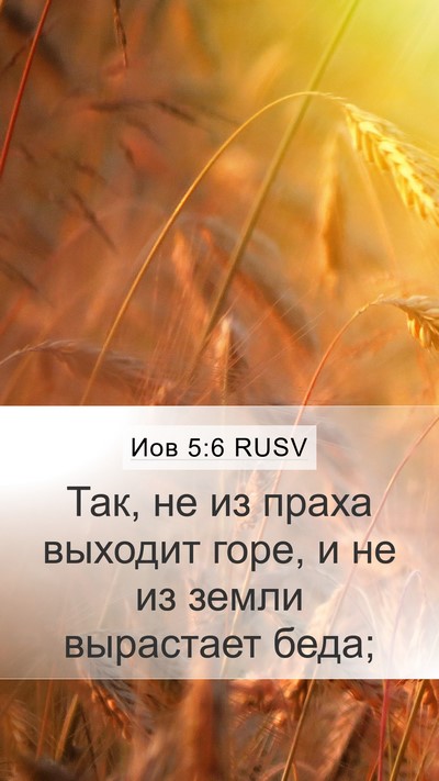 Иов 5:6 RUSV Bible Verse Image