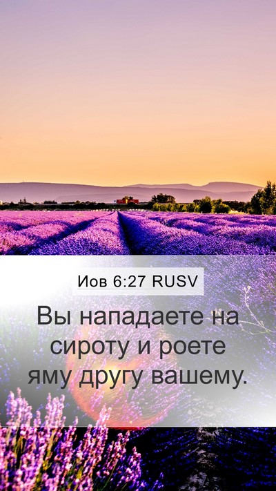 Иов 6:27 RUSV Bible Verse Image