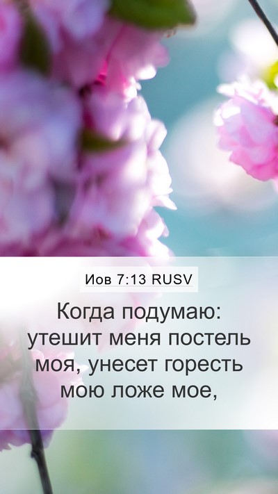 Иов 7:13 RUSV Bible Verse Image
