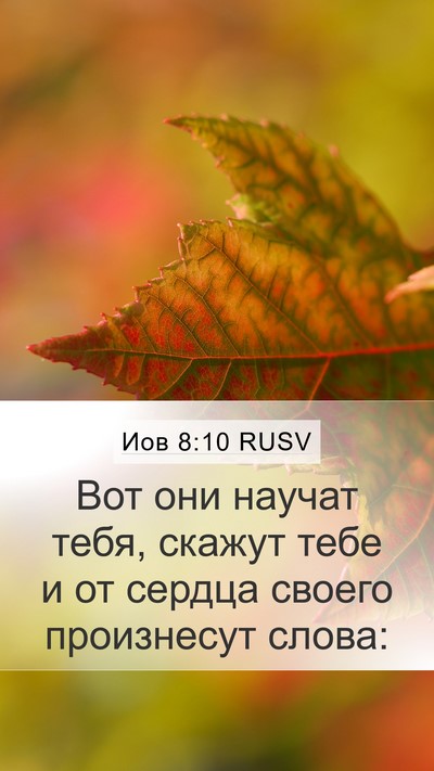 Иов 8:10 RUSV Mobile Phone Wallpaper - Вот они научат тебя, скажут - Mobile Bible Verse Wallpaper
