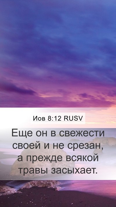 Иов 8:12 RUSV Bible Verse Image