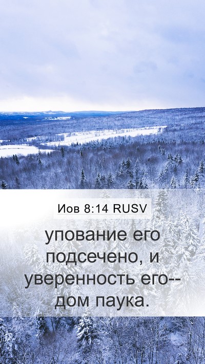 Иов 8:14 RUSV Bible Verse Image