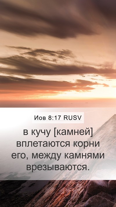Иов 8:17 RUSV Mobile Phone Wallpaper - в кучу [камней] вплетаются - Mobile Bible Verse Wallpaper