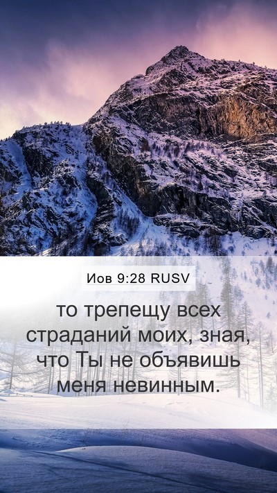 Иов 9:28 RUSV Bible Verse Image
