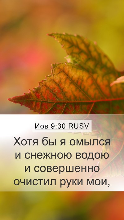 Иов 9:30 RUSV Bible Verse Image
