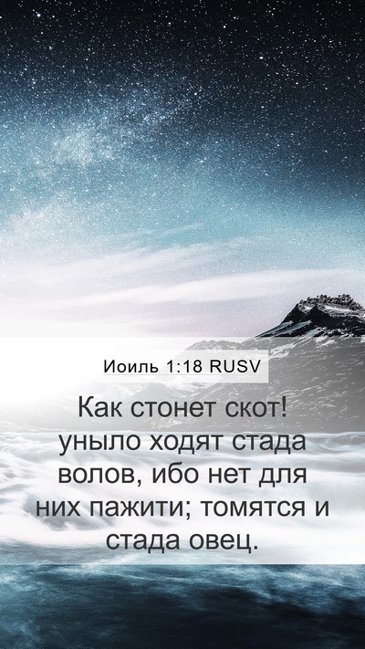 Иоиль 1:18 RUSV Bible Verse Image