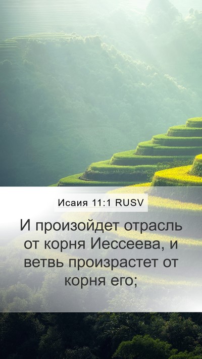 Исаия 11:1 RUSV Mobile Phone Wallpaper - И произойдет отрасль от - Mobile Bible Verse Wallpaper
