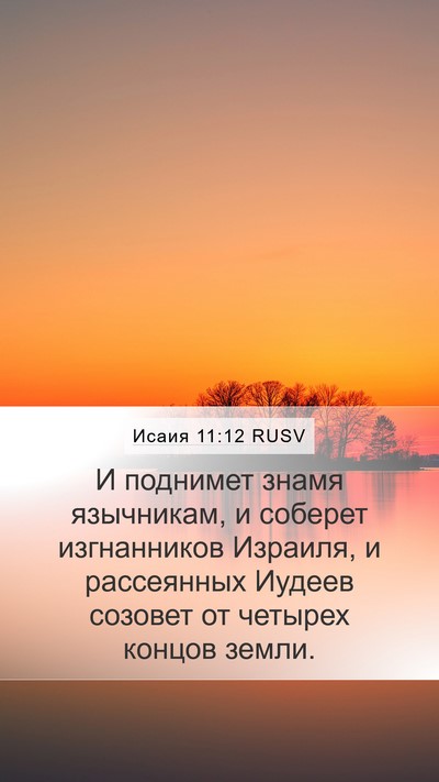 Исаия 11:12 RUSV Bible Verse Image