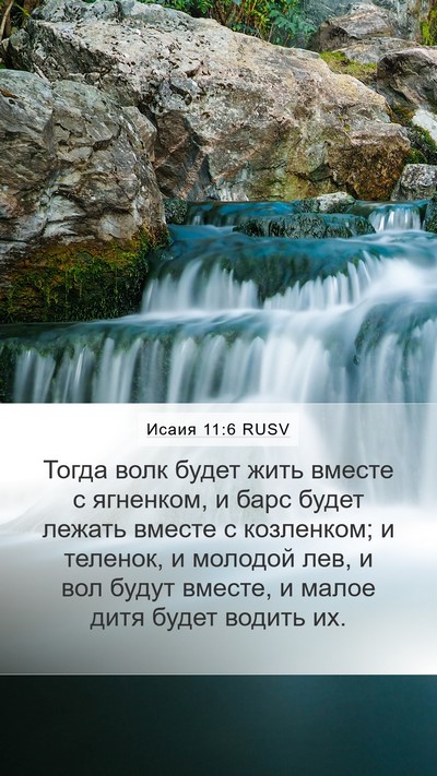 Исаия 11:6 RUSV Bible Verse Image