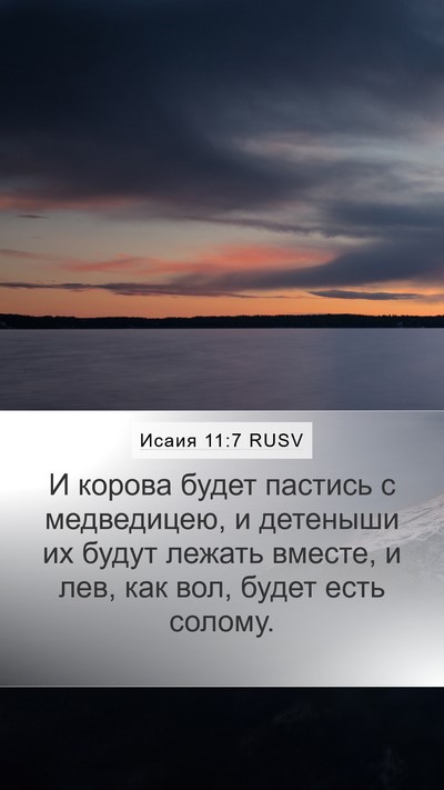 Исаия 11:7 RUSV Mobile Phone Wallpaper - И корова будет пастись с - Mobile Bible Verse Wallpaper