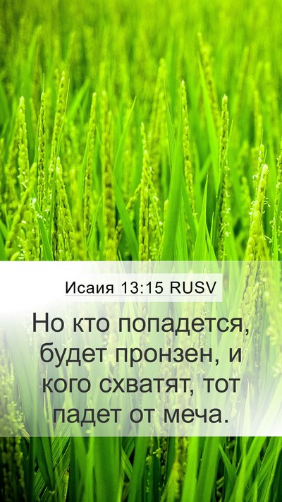 Исаия 13:15 RUSV Bible Verse Image