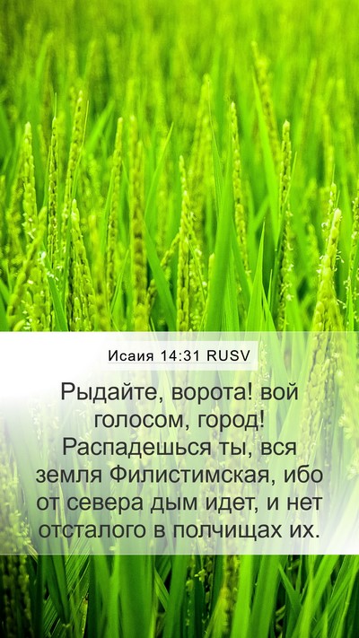 Исаия 14:31 RUSV Bible Verse Image