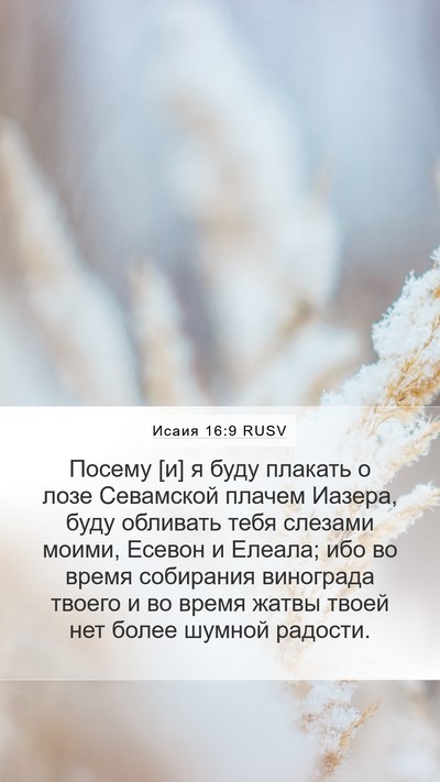 Исаия 16:9 RUSV Bible Verse Image