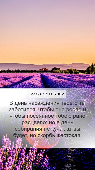 Исаия 17:11 RUSV Bible Verse Image
