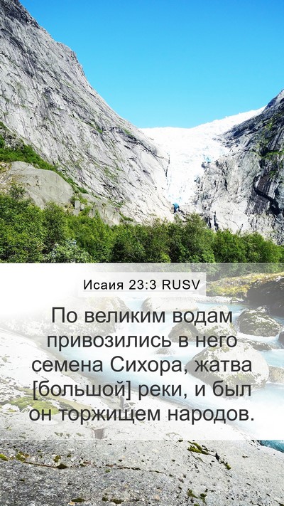 Исаия 23:3 RUSV Bible Verse Image