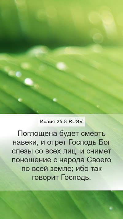 Исаия 25:8 RUSV Bible Verse Image