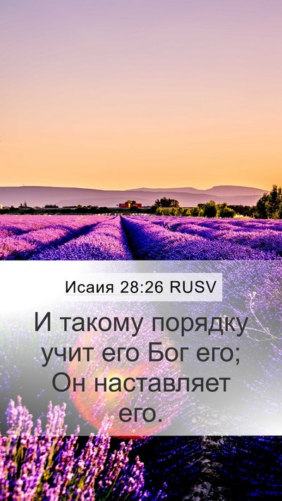 Исаия 28:26 RUSV Mobile Phone Wallpaper - И такому порядку учит его - Mobile Bible Verse Wallpaper