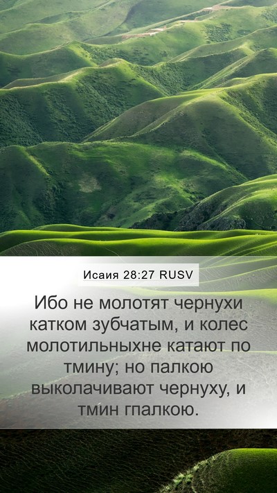 Исаия 28:27 RUSV Bible Verse Image