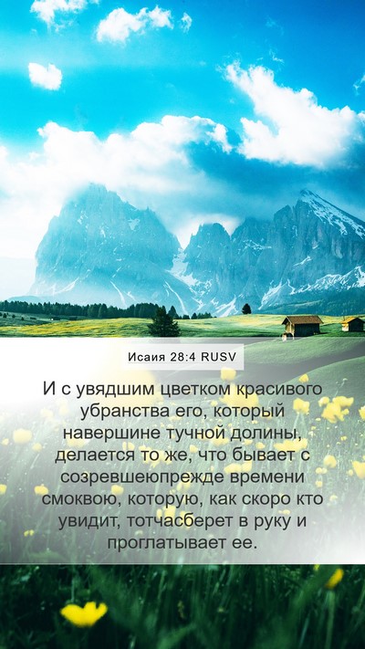 Исаия 28:4 RUSV Bible Verse Image