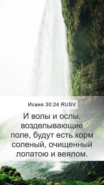 Исаия 30:24 RUSV Bible Verse Image