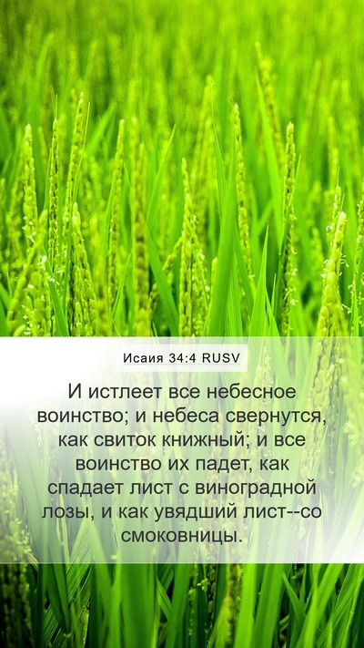 Исаия 34:4 RUSV Bible Verse Image