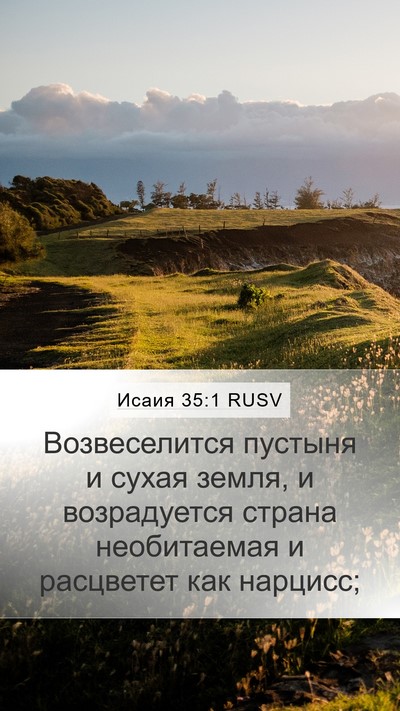 Исаия 35:1 RUSV Bible Verse Image