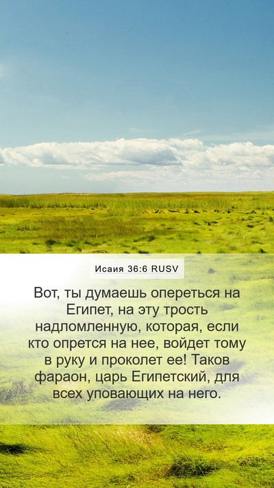 Исаия 36:6 RUSV Bible Verse Image