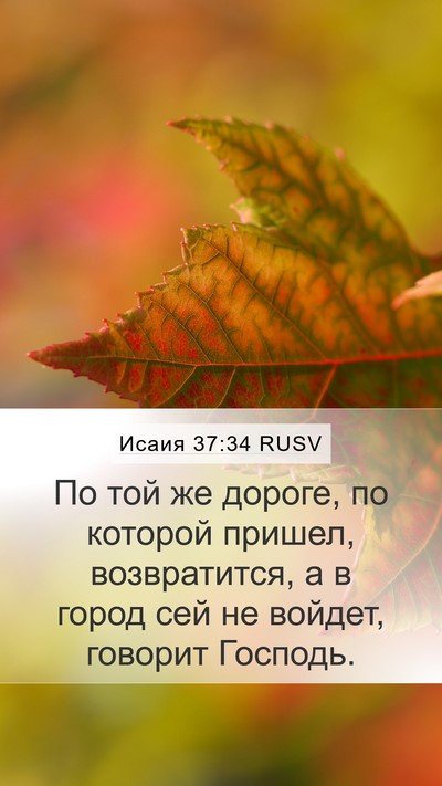 Исаия 37:34 RUSV Bible Verse Image