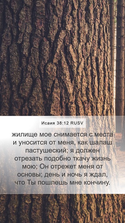Исаия 38:12 RUSV Mobile Phone Wallpaper - жилище мое снимается с - Mobile Bible Verse Wallpaper