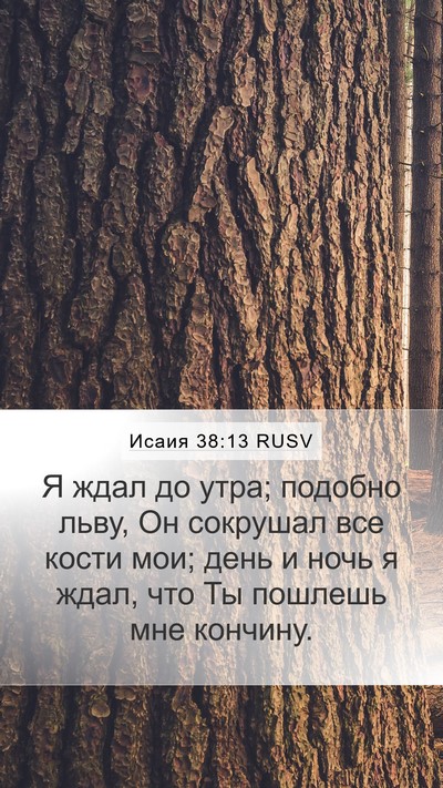 Исаия 38:13 RUSV Bible Verse Image