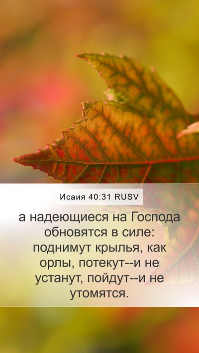 Исаия 40:31 RUSV Bible Verse Image