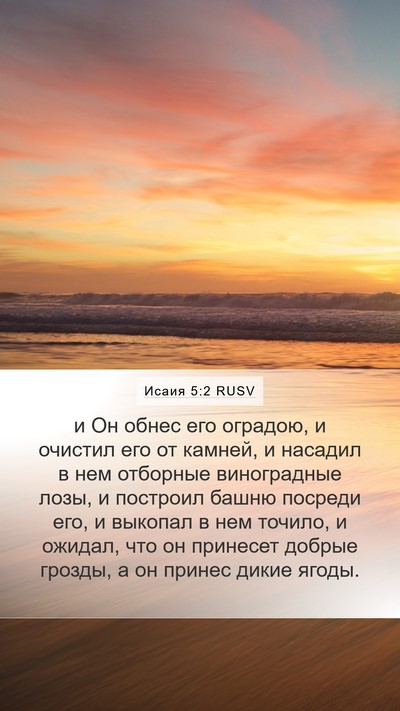 Исаия 5:2 RUSV Bible Verse Image