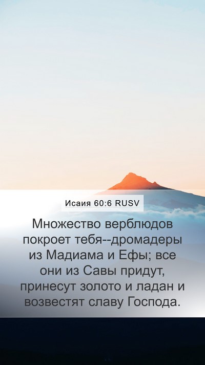 Исаия 60:6 RUSV Bible Verse Image