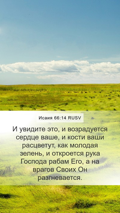 Исаия 66:14 RUSV Bible Verse Image