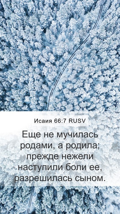 Исаия 66:7 RUSV Bible Verse Image