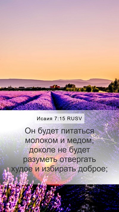 Исаия 7:15 RUSV Bible Verse Image
