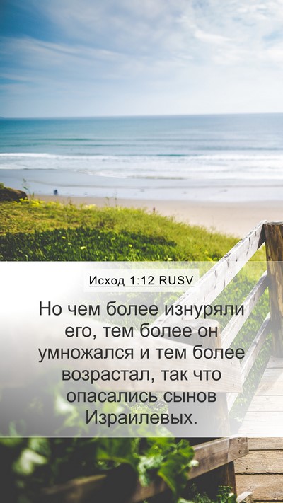Исход 1:12 RUSV Bible Verse Image