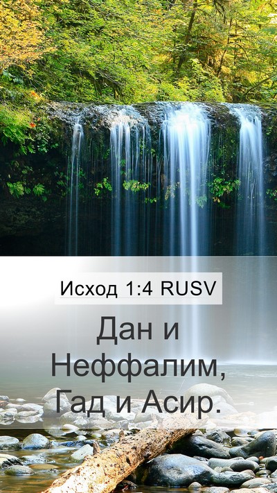 Исход 1:4 RUSV Mobile Phone Wallpaper - Дан и Неффалим, Гад и - Mobile Bible Verse Wallpaper