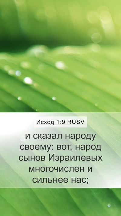 Исход 1:9 RUSV Bible Verse Image