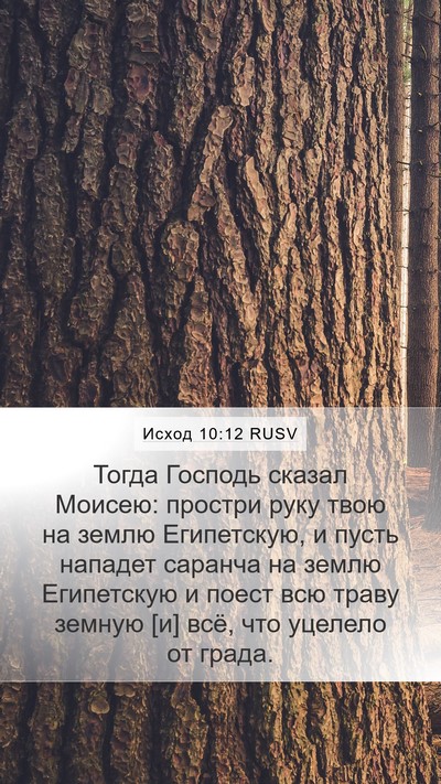 Исход 10:12 RUSV Bible Verse Image