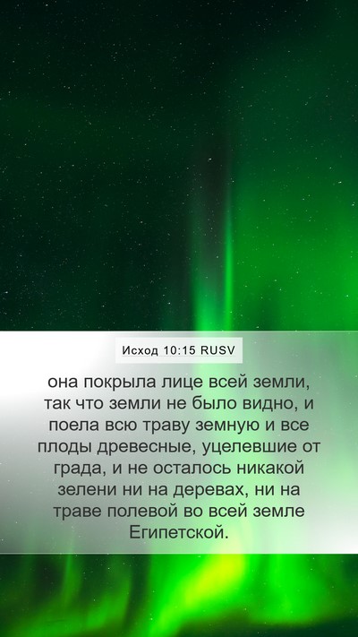Исход 10:15 RUSV Bible Verse Image