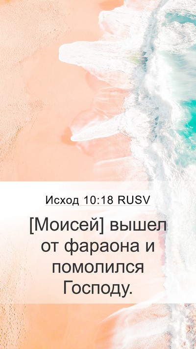 Исход 10:18 RUSV Bible Verse Image