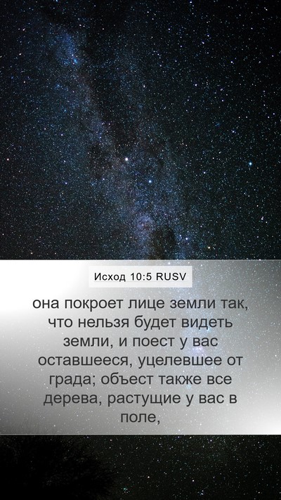 Исход 10:5 RUSV Bible Verse Image
