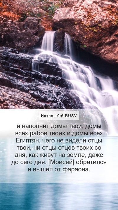Исход 10:6 RUSV Bible Verse Image