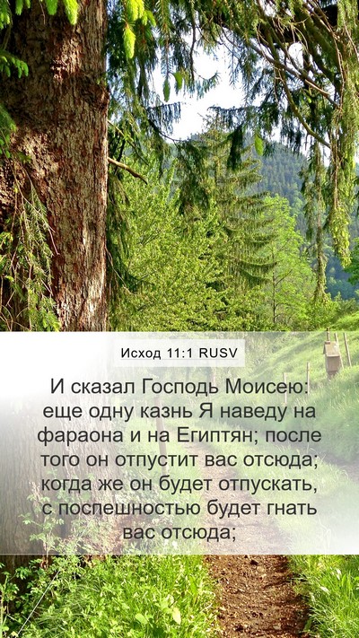 Исход 11:1 RUSV Mobile Phone Wallpaper - И сказал Господь Моисею: - Mobile Bible Verse Wallpaper