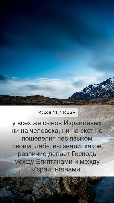 Исход 11:7 RUSV Bible Verse Image