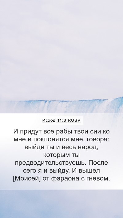 Исход 11:8 RUSV Bible Verse Image