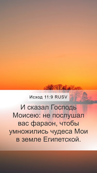 Исход 11:9 RUSV Bible Verse Image