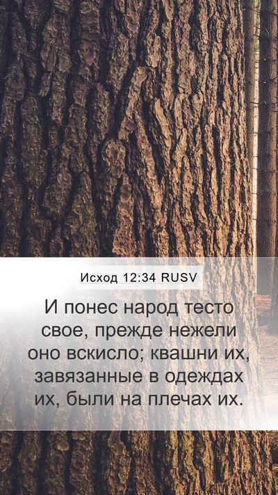 Исход 12:34 RUSV Bible Verse Image