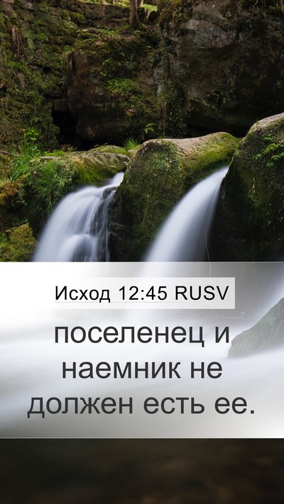 Исход 12:45 RUSV Mobile Phone Wallpaper - поселенец и наемник не - Mobile Bible Verse Wallpaper
